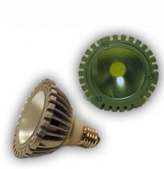 Par 30 LED Light Bulb Par 30 LED Light Bulb