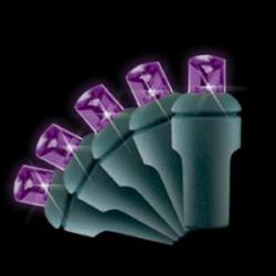5mm 70L Full Wave LED Purple Case of 24 Strands 5mm 70L Full Wave LED Purple Case of 24 Strands