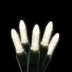 Warm White M5 mini LED Christmas Lights CASE of 24 Warm White M5 mini LED Christmas Lights CASE of 24